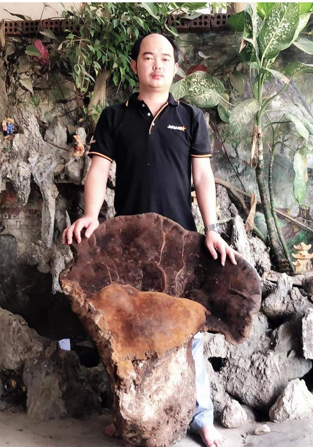 Phát hiện nấm khổng lồ nặng 70 ký nghi là nấm linh chi chân voi  ảnh 2