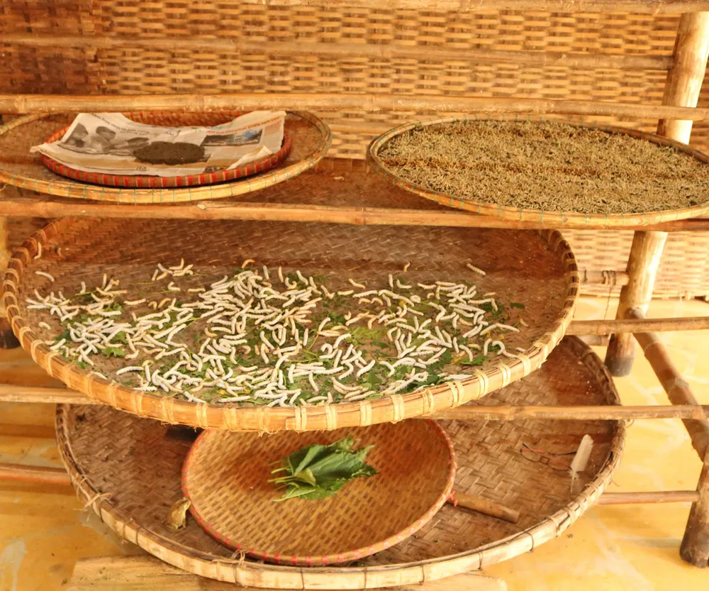 Hơn 80 nghệ nhân đến từ các làng nghề truyền thống sẽ trình diễn ươm tơ, dệt lụa tại Hội An ảnh 3