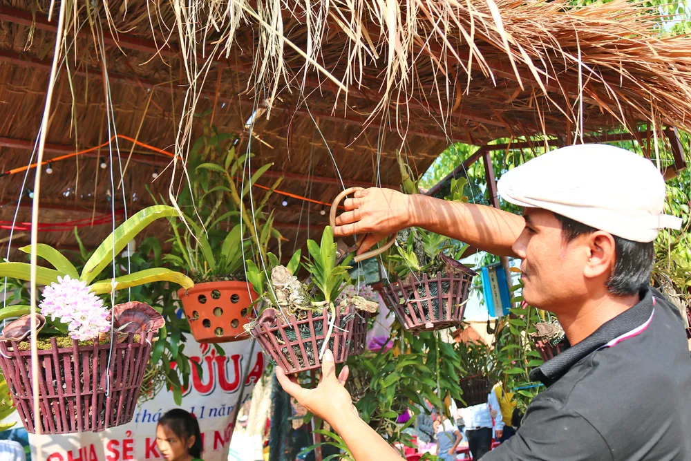 Đặc sắc Lễ Hội Cầu Huê ảnh 18