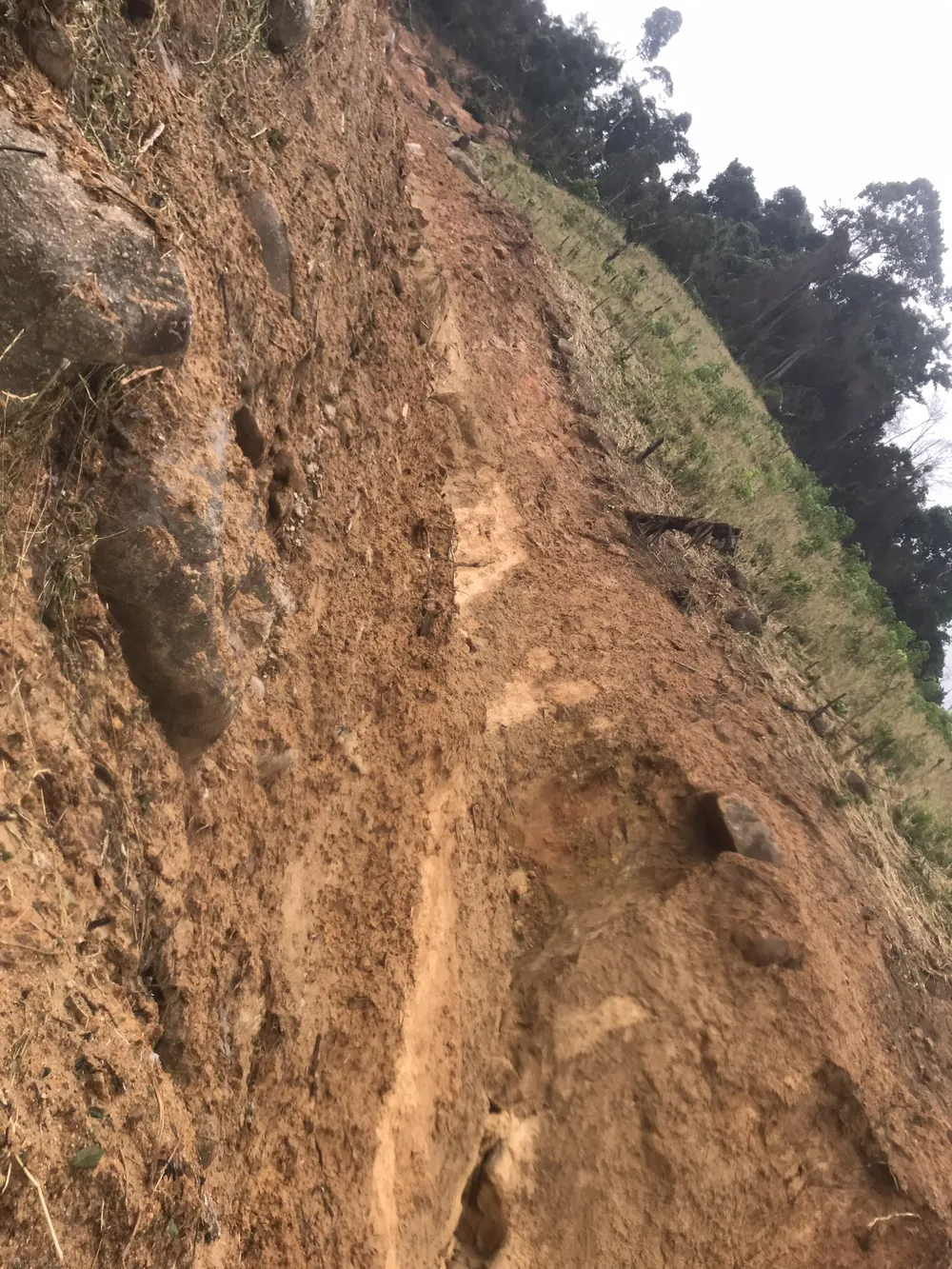 Tiếp tục cõng hàng và tìm kiếm người mất tích tại Phước Sơn ảnh 10