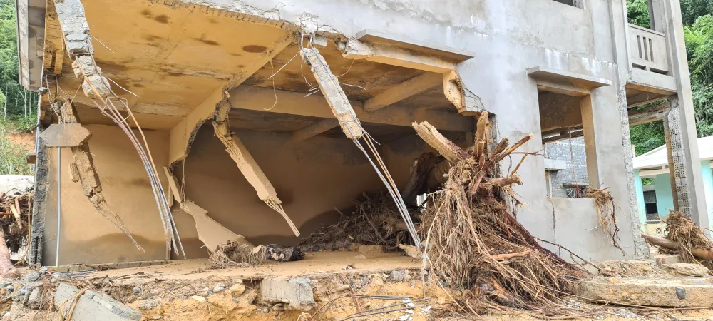 Tan hoang Phước Thành ảnh 6 Tan hoang Phước Thành ảnh 6