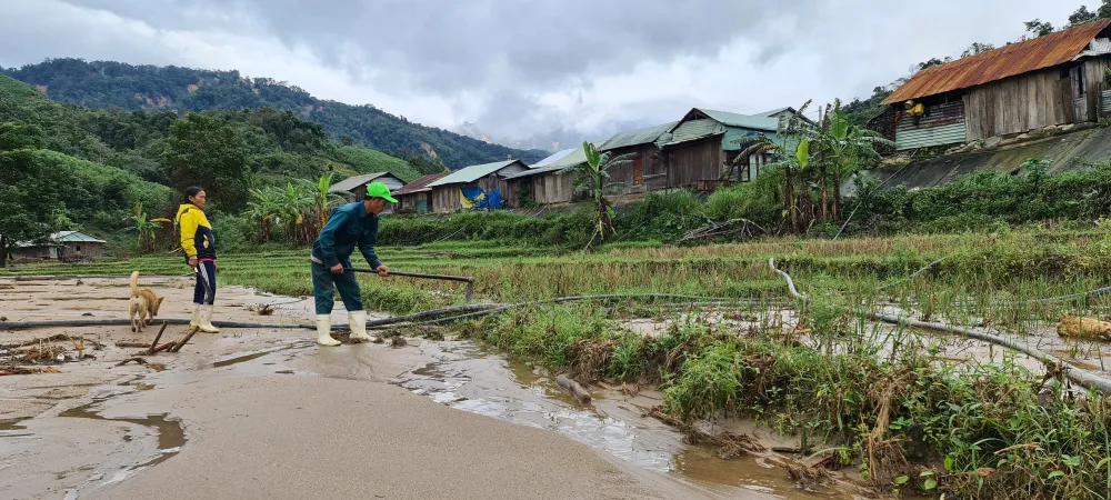 Tan hoang Phước Thành ảnh 8 Tan hoang Phước Thành ảnh 8