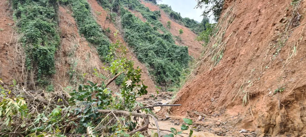 Tan hoang Phước Thành ảnh 19 Tan hoang Phước Thành ảnh 19