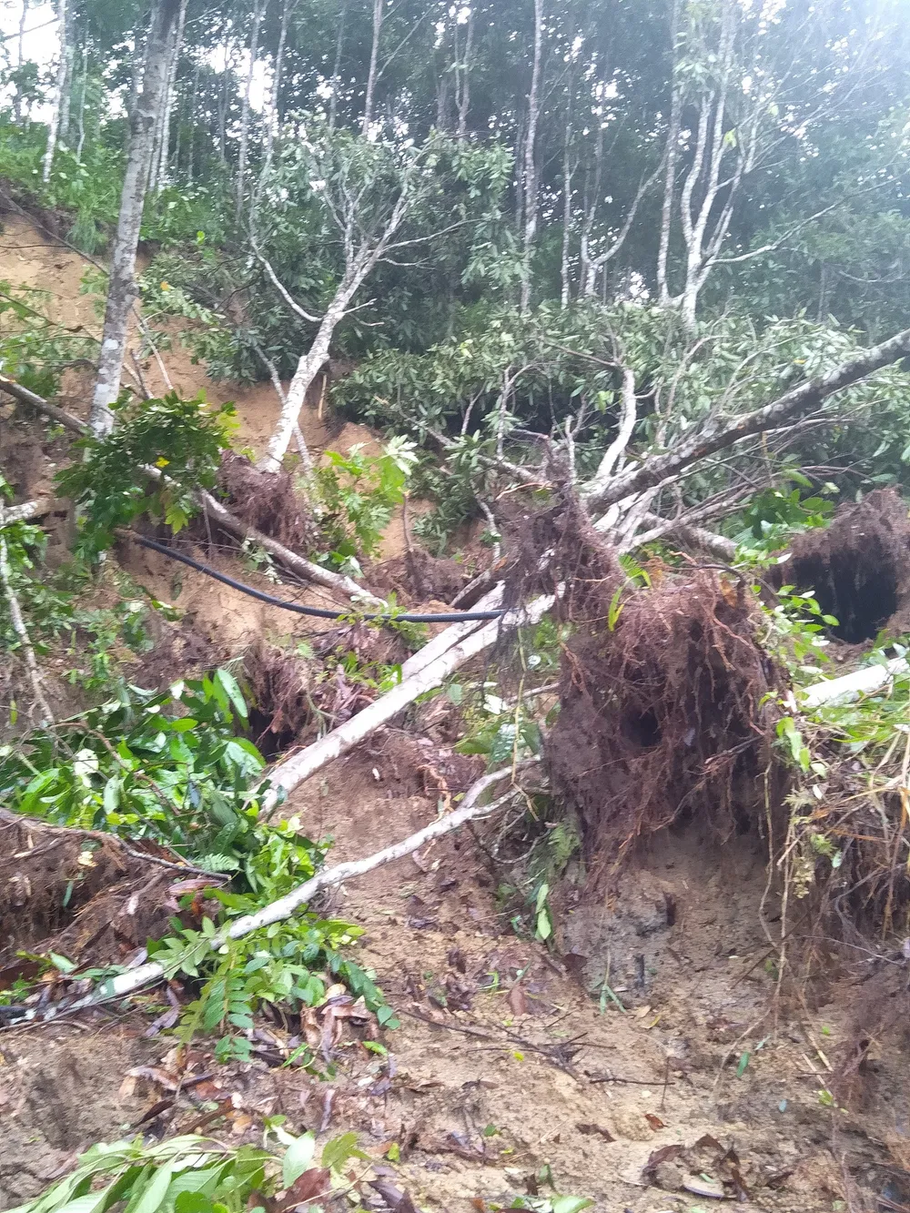 Tan hoang Phước Thành ảnh 9 Tan hoang Phước Thành ảnh 9