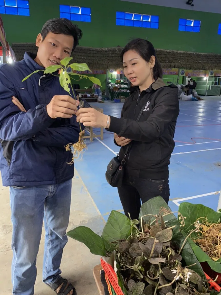 Rộn ràng phiên chợ sâm Ngọc Linh ảnh 6