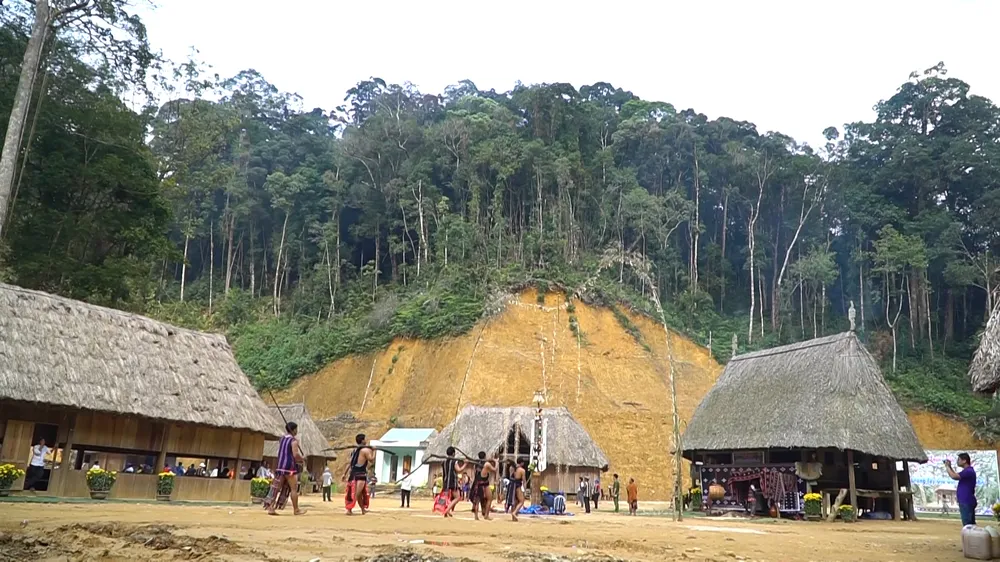 Con trâu trong đời sống văn hóa người Cơ Tu ảnh 2