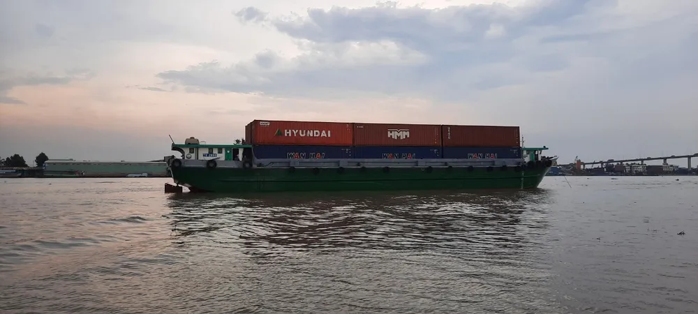 Sà lan tông chìm 2 bè cá trên sông Tiền ảnh 2