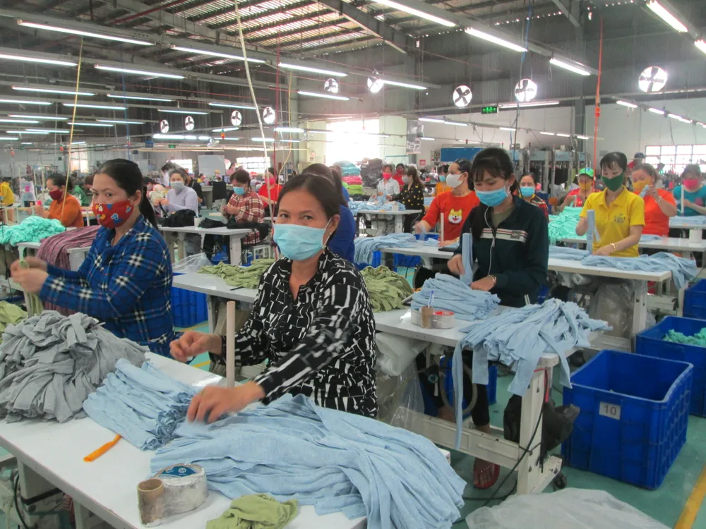 Long An thành lập Tổ vận động hỗ trợ công dân làm việc tại địa phương ảnh 4