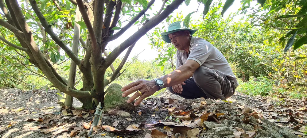 Làng tỷ phú giữa Đồng Tháp Mười ảnh 4