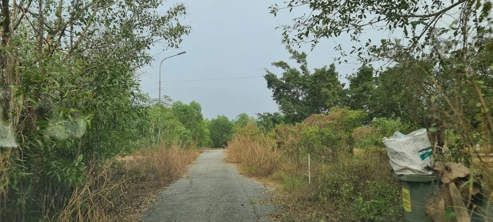 Lâm viên thanh niên hoang tàn, đầy rác thải y tế ảnh 8 Lâm viên thanh niên hoang tàn, đầy rác thải y tế ảnh 8