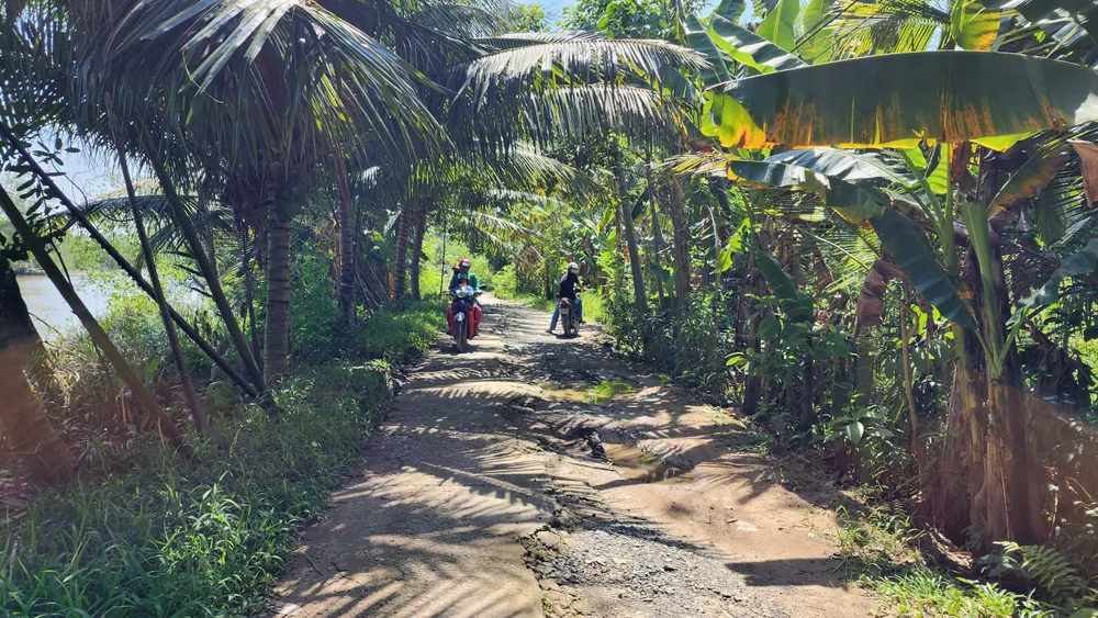 Tiền Giang: Hiến đất hơn 6 năm nhưng chưa làm đường ảnh 3