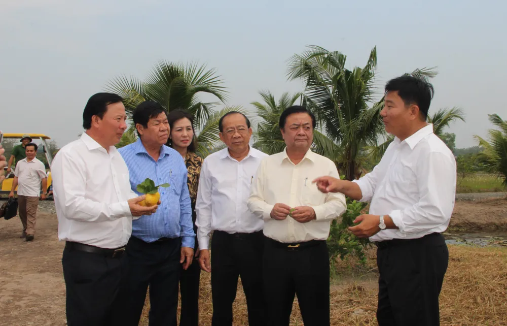 Đoàn công tác khảo sát thực tế tại Công ty Cổ phần Thương mại và Đầu tư Chanh Việt (xã Thạnh Lợi, huyện Bến Lức) Đoàn công tác khảo sát thực tế tại Công ty Cổ phần Thương mại và Đầu tư Chanh Việt (xã Thạnh Lợi, huyện Bến Lức)