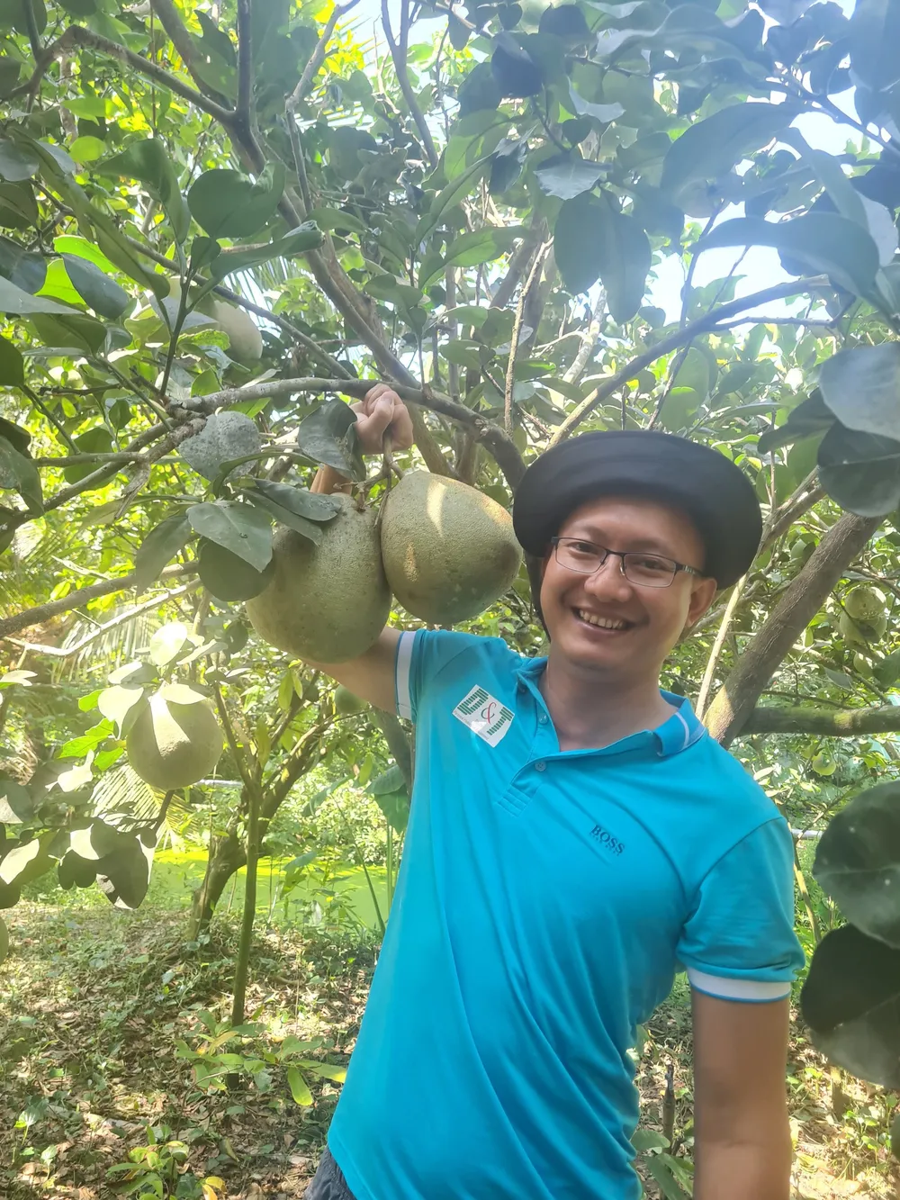 Thăm và hái trái cây trong vườn