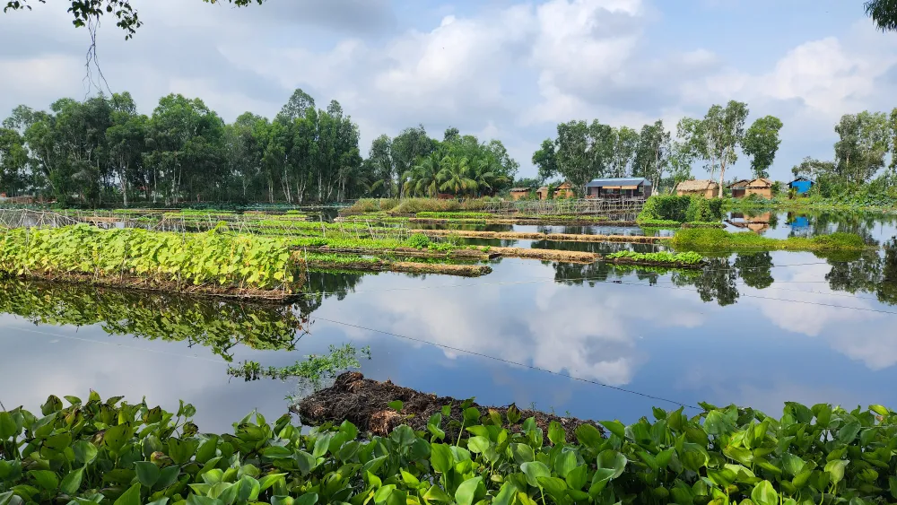 Giữ hệ sinh thái tự nhiên trong trang trại rau trên bè