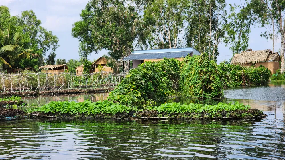 Nhiều loại rau khác nhau được trồng trên bè