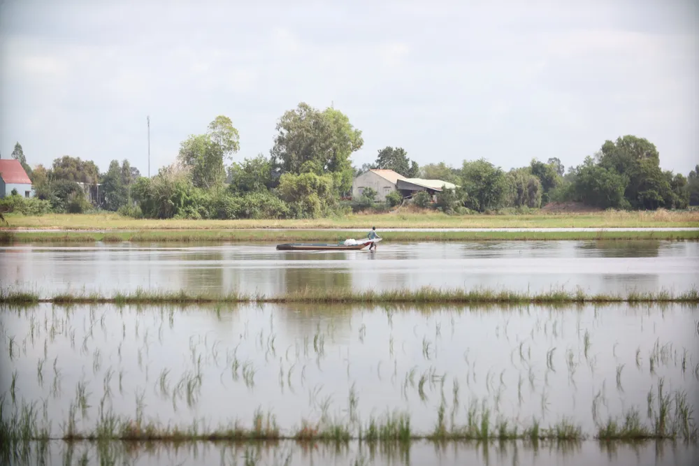 Lũ thấp, sản vật rất ít chỉ đủ phục vụ bữa ăn gia đình