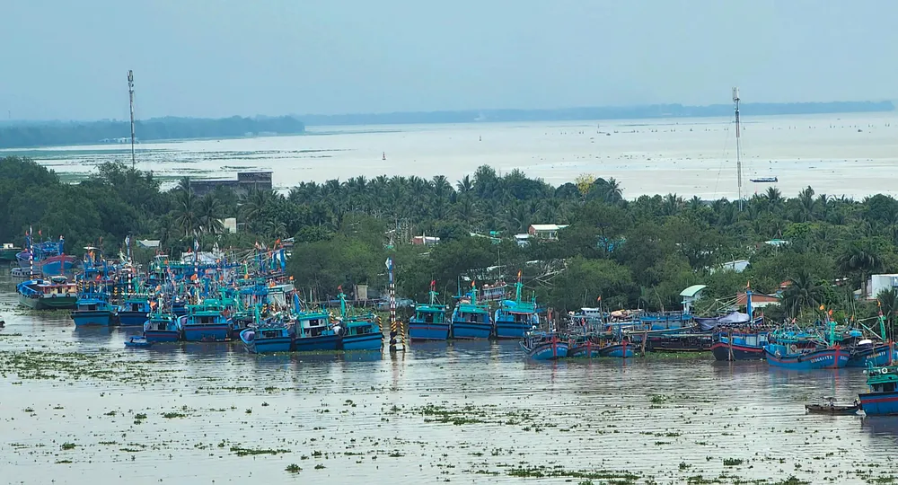 100% tàu cá đang hoạt động ở tỉnh Tiền Giang đã lắp thiết bị giám sát hành trình 100% tàu cá đang hoạt động ở tỉnh Tiền Giang đã lắp thiết bị giám sát hành trình
