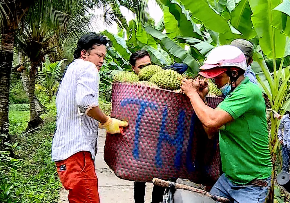 Người dân vận chuyện sầu riêng đem ra các tuyến đường bày bán. Ảnh: NGỌC PHÚC ảnh 18.jpg
