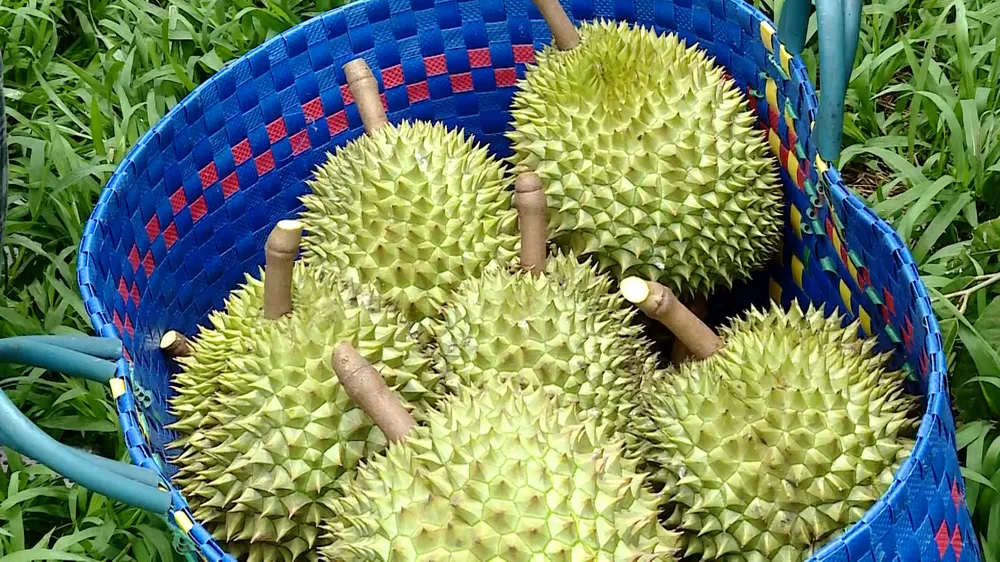 ảnh 12.jpg