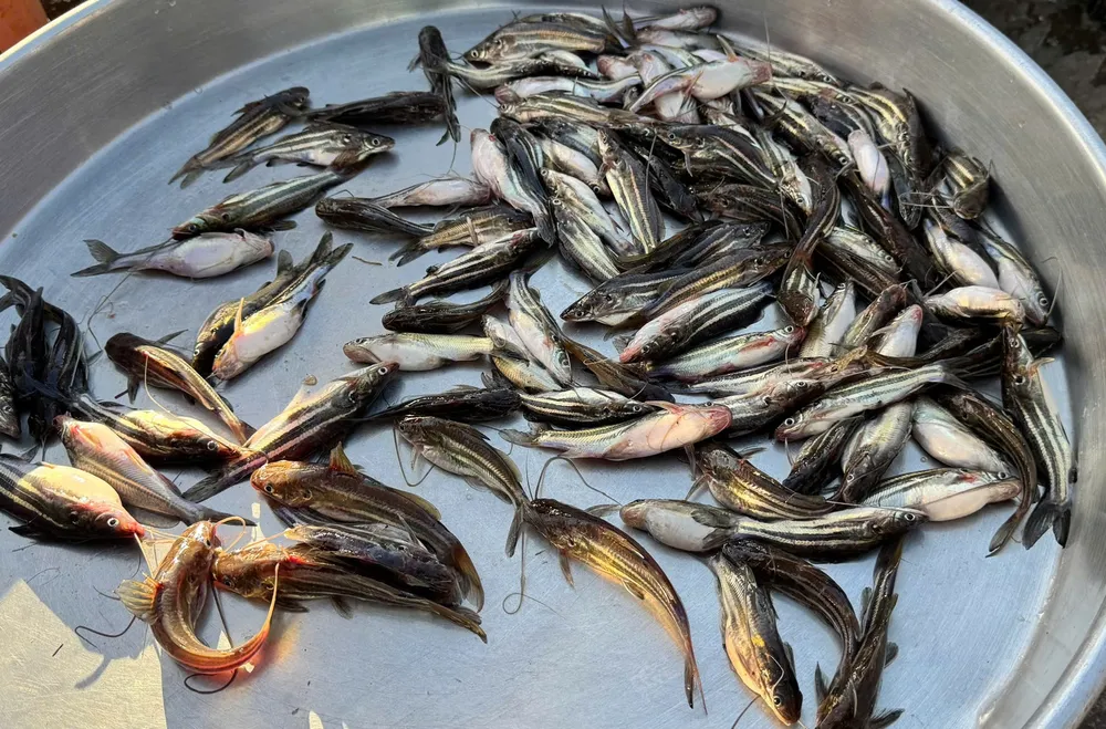 ផលិតផលដែលប្រជាពលរដ្ឋចាប់បានត្រូវឈ្មួញទិញតាមច្រាំង។ Sản vật người dân đánh bắt được thương lái mua tại bờ
