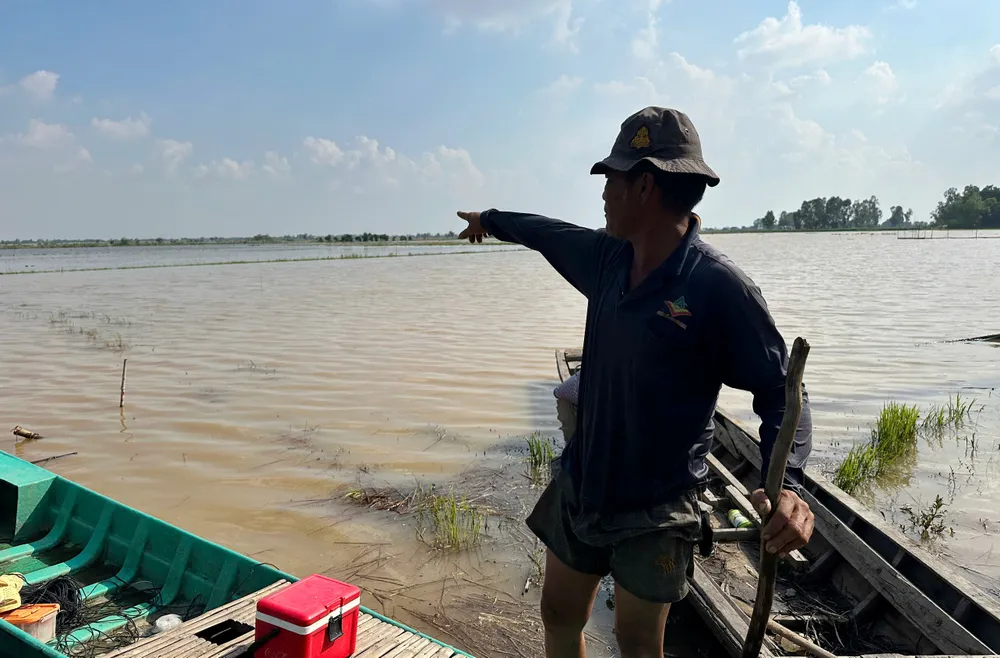 Người dân chỉ tay về hướng cánh đồng đang ngập nước ở xã biên giới Thường Phước, tỉnh Đồng Tháp ảnh 1.jpg