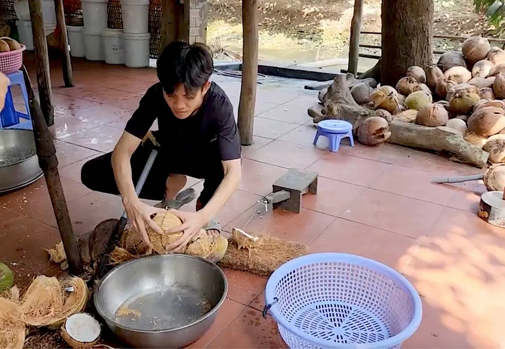 Giá dừa khô hiện đang ở mức cao, nông dân phấn khởi ảnh 5.jpg