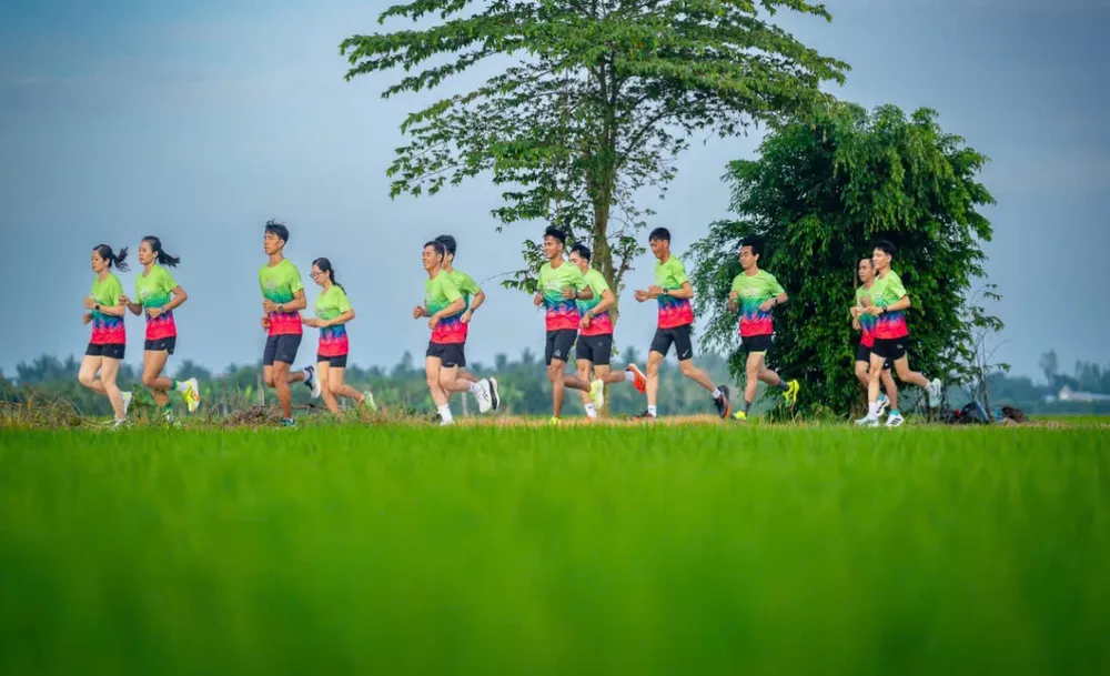 Giải Marathon Đất Sen hồng - Đồng Tháp năm 2025 quy mô giải khoảng 12.000 vận động viên trong nước và quốc tế tham gia ảnh 1.jpg