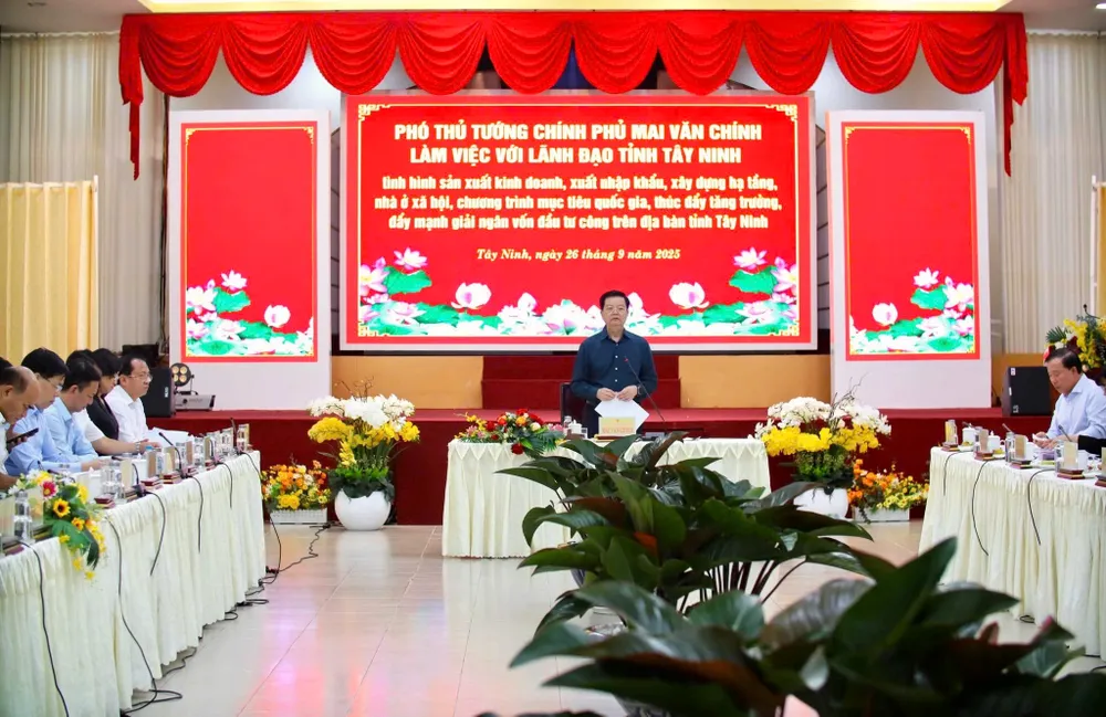 Quang cảnh buổi làm việc ảnh 1.jpg