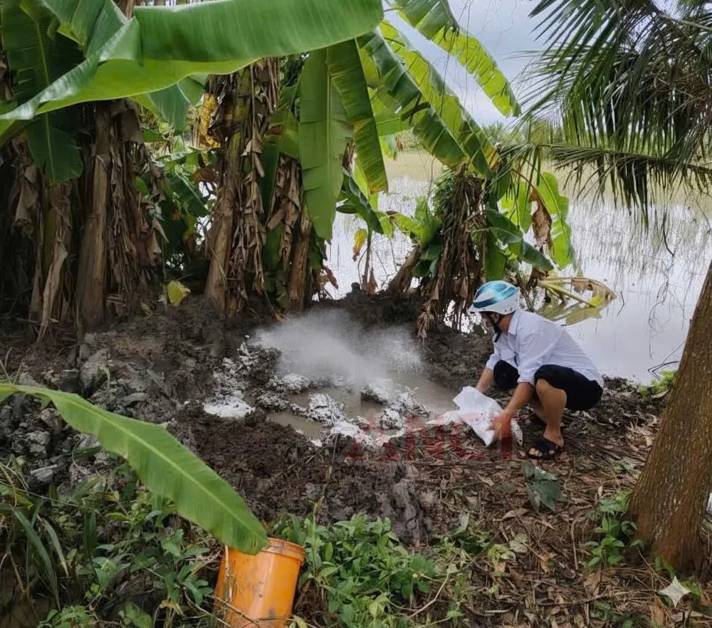 Tiêu hủy số thịt heo nhiễm bệnh ảnh 3.jpg