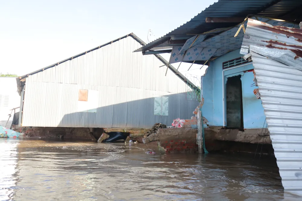 Hiện trường sạt lở bờ sông Tiền, đoạn thuộc phường Cao Lãnh IMG_1055.jpeg