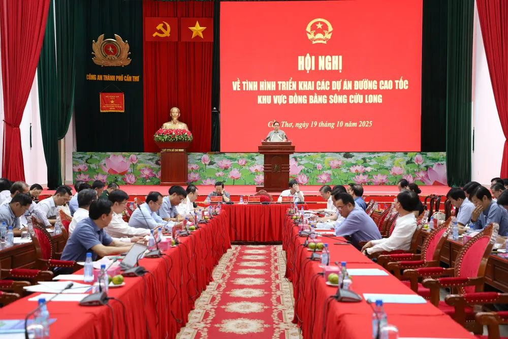 Quang cảnh buổi làm việc IMG_0193.jpeg
