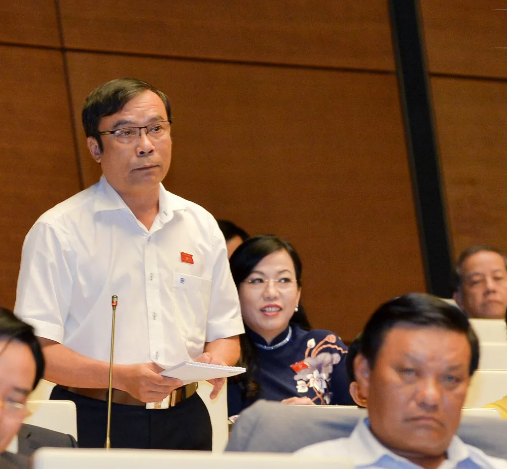 Vụ phân bón Thuận Phong tiếp tục làm nóng diễn đàn Quốc hội ảnh 1