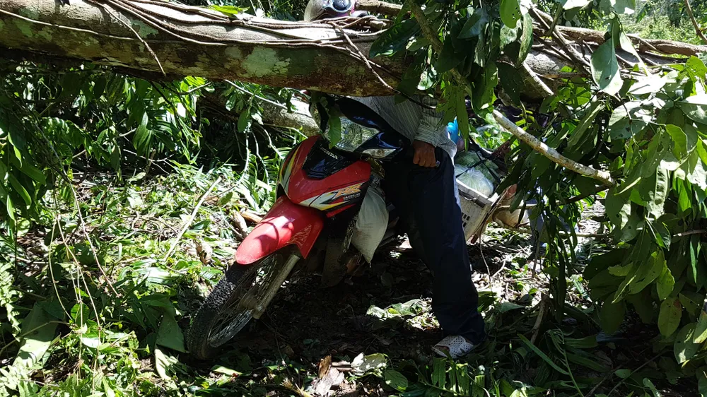 Tan tác đường lên A Rem ảnh 10