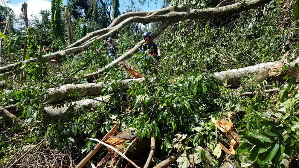 Tan tác đường lên A Rem ảnh 9