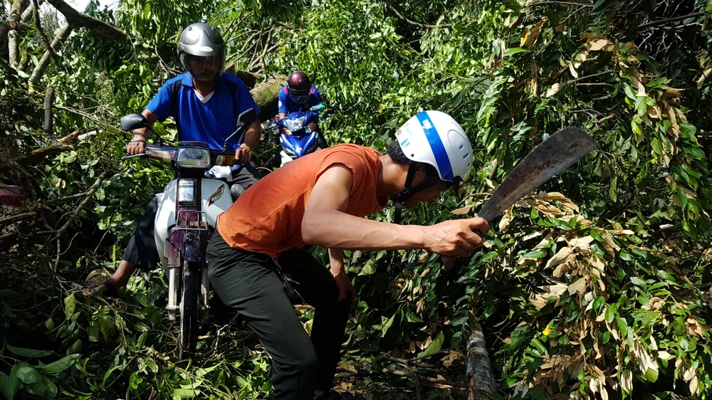 Tan tác đường lên A Rem ảnh 17