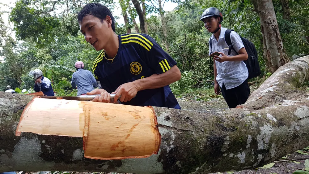 Tan tác đường lên A Rem ảnh 18