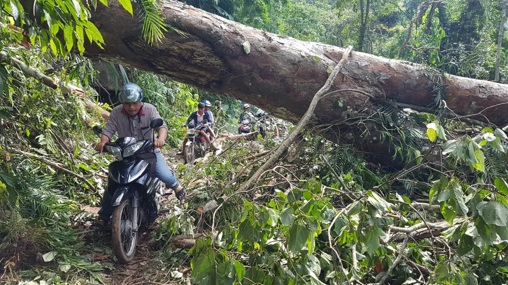 Tan tác đường lên A Rem ảnh 14