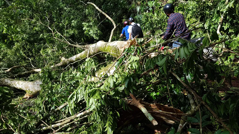Tan tác đường lên A Rem ảnh 15
