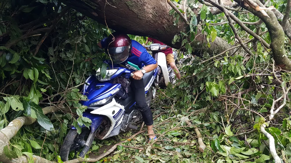 Tan tác đường lên A Rem ảnh 19