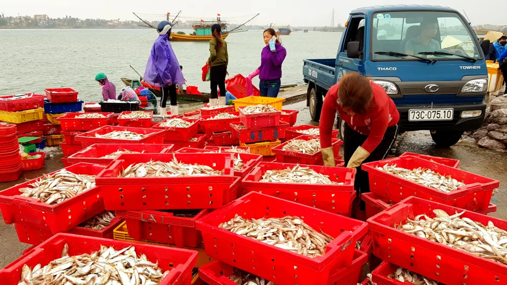 Tiếp tục giám sát chặt Formosa và ổn định đời sống ngư dân ảnh 3