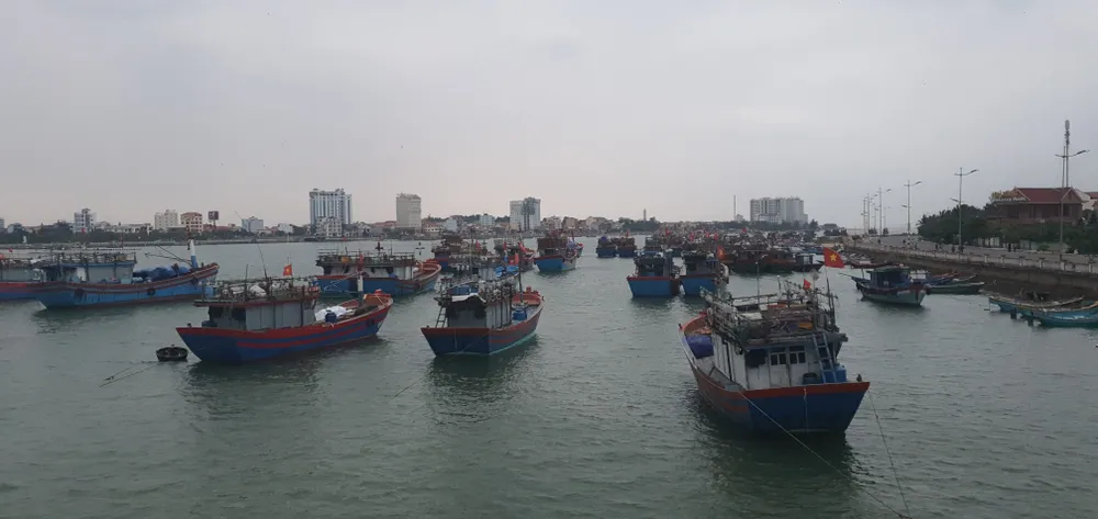 Đôi bờ sông Nhật Lệ bừng sáng sau khi được chỉnh trang  ảnh 18