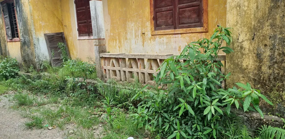 Cận cảnh nhiều trường học xuống cấp khiến cả nghìn học sinh thiếu phòng học ảnh 8 Cận cảnh nhiều trường học xuống cấp khiến cả nghìn học sinh thiếu phòng học ảnh 8