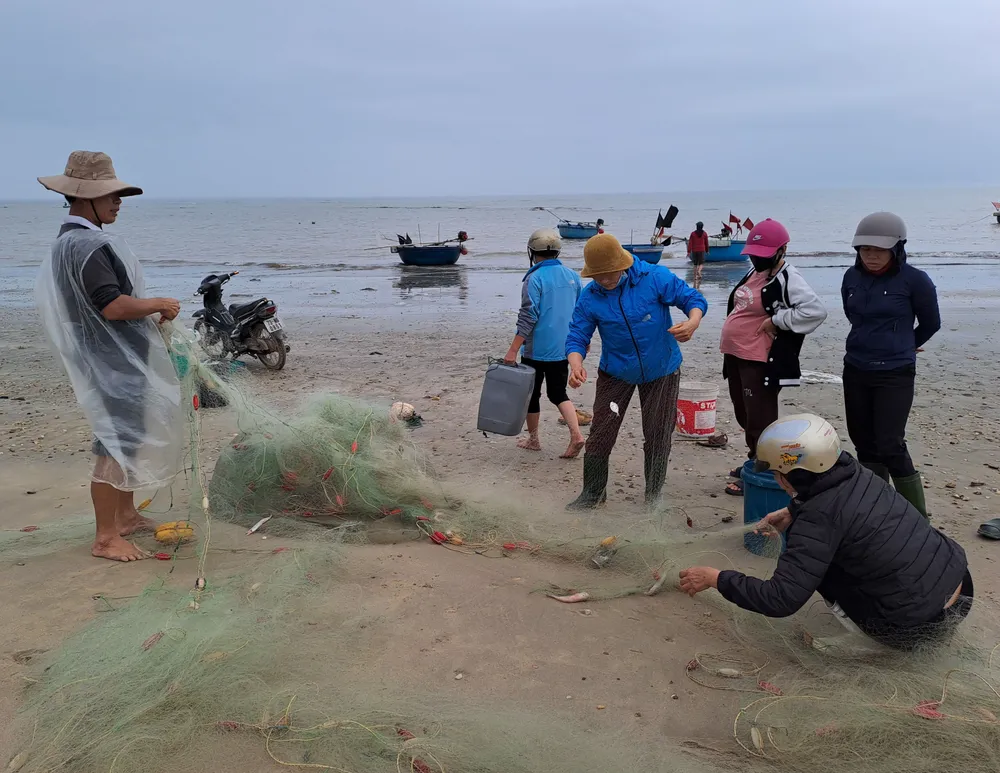 Ngư dân bãi ngang Quảng Bình gỡ cá khoai Ngư dân bãi ngang Quảng Bình gỡ cá khoai