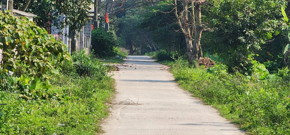 Đường bê tông tốt vẫn cho thảm nhựa khiến dân bức xúc