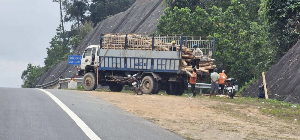 Keo tràm bốc bên đường cao tốc phóng từ taluy dương xuống rất nguy hiểm