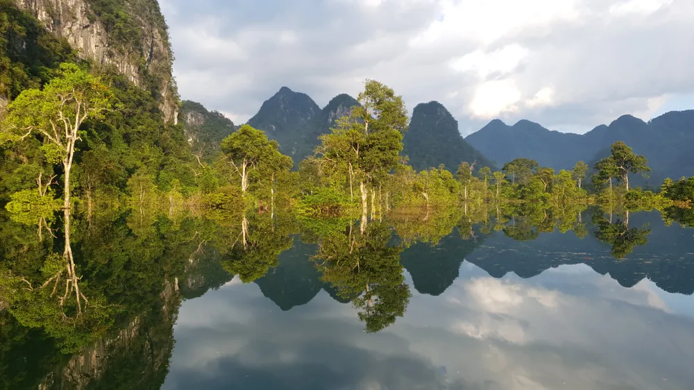 Cảnh quan xanh ở Phong Nha - Kẻ Bàng Cảnh quan xanh ở Phong Nha - Kẻ Bàng