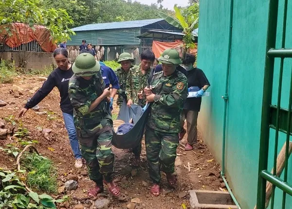 Khiêng hổ về phòng khám thú y gần đó Khiêng hổ về phòng khám thú y gần đó