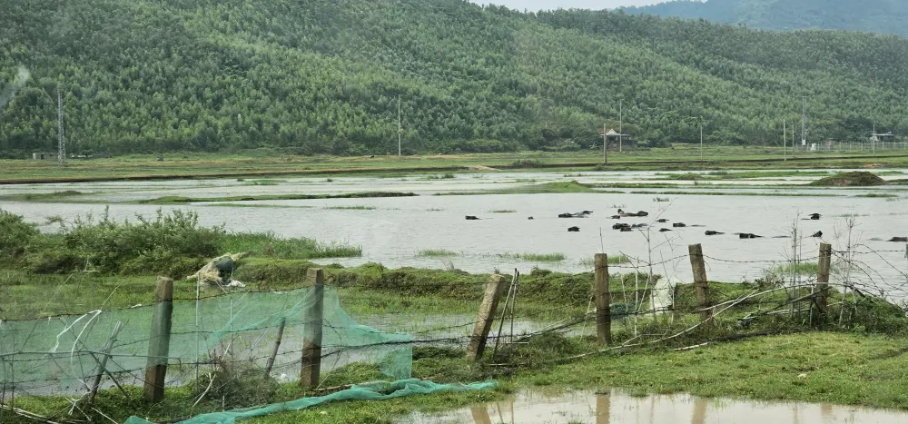 Khu vực quy hoạch đưa vật chất lên bờ làm nền móng cho các dự án điện mới Khu vực quy hoạch đưa vật chất lên bờ làm nền móng cho các dự án điện mới