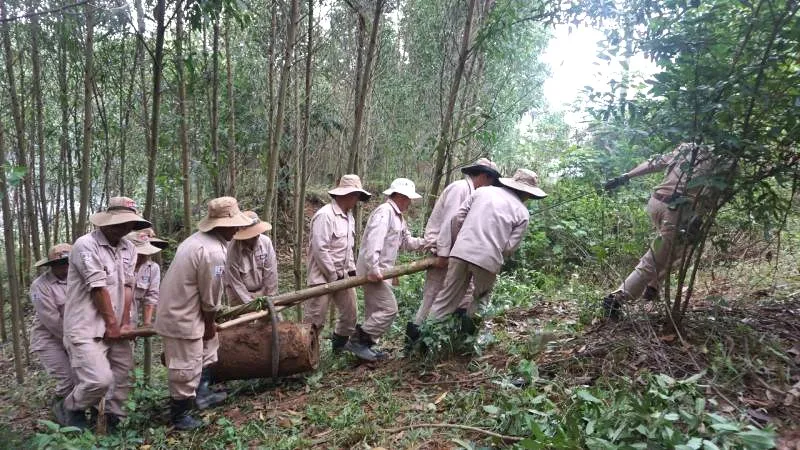 Nhân viên MAG xử lý bom ở huyện Minh Hóa Nhân viên MAG xử lý bom ở huyện Minh Hóa