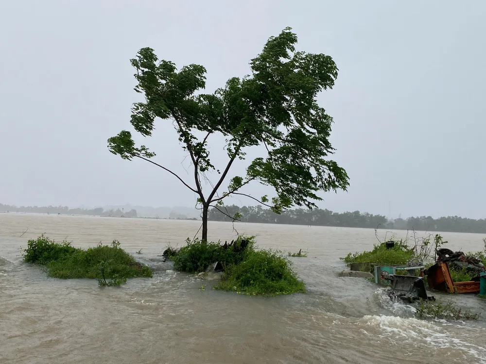 Mưa không ngớt từ ngày 11 đến 13-6 1000025449.jpg